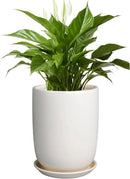 Plant Pot 8 Inch - Ceramic Planter for Indoor Plants Outdoor, Large Plant Pot with Drainage Hole and Saucer, Modern Flower Pot, White by GreenHaven Gardens