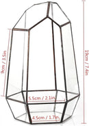 NCYP Small Glass Geometric Terrarium - 4.9 x 3.9 x 7.4 Inches Irregular Clear Planter Pot for Succulents, Cactus, Indoor Garden Tabletop Decoration, Centerpiece (No Plants, No Door) by CozyNest Decor
