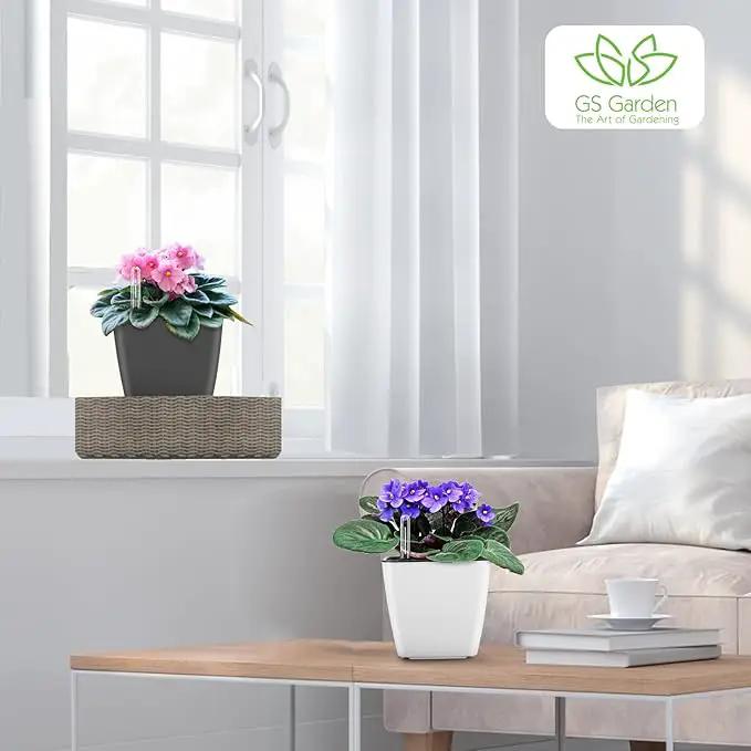 Self Watering Planters for Indoor Plants : 5 inch 6 Pack White Planter with Water Level Indicator African Violet Self Watering Flower Pot for Herb pots, photo 5 of 6