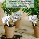 10pcs Plant Watering Devices, Planter Self Watering Globes for Home Potting, Plastic Garden Flower Plant Watering Spikes Automatic Plant Waterer System Set Suit for All Indoor Outdoor Plant by GreenHaven Gardens
