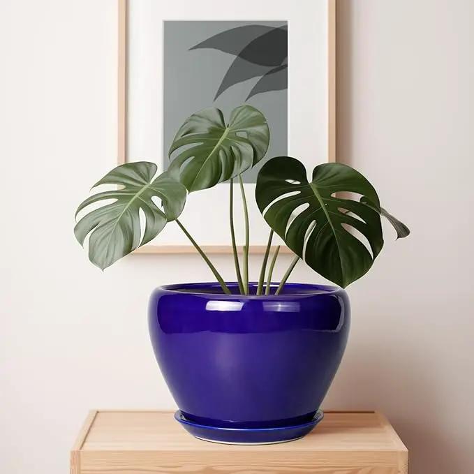 Ceramic Planter 10 Inch - Indoor Plant Pot for Plants with Drainage Hole and Saucer Large Planter Round Outdoor Flower Pot Mid-Century for House Patio Decor Blue, photo 7 of 7