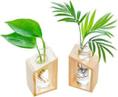 Ivolador Plant Propagation Station, Plant Propagation Tubes,Gifts for Plant Lovers,Plants Cutting Holder Office Desk Garden Décor Gifts for Mom Women Hydroponic Vase Gift Box by GreenHaven Gardens