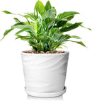 8 Inch Plant Pot, Ceramic Planter with Drainage and Saucer, Ceramic Pots for Plants, Indoor Plant pots,Succulent Orchid Flower Pot(Pure White) by GreenHaven Gardens