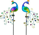DREAMSOUL 2 Pack Peacock Solar Lights Outdoor, Waterproof Metal Peacock Outdoor Solar Lights for Yards Pathway Lawn Decoration Peacock Gifts by GreenHaven Gardens