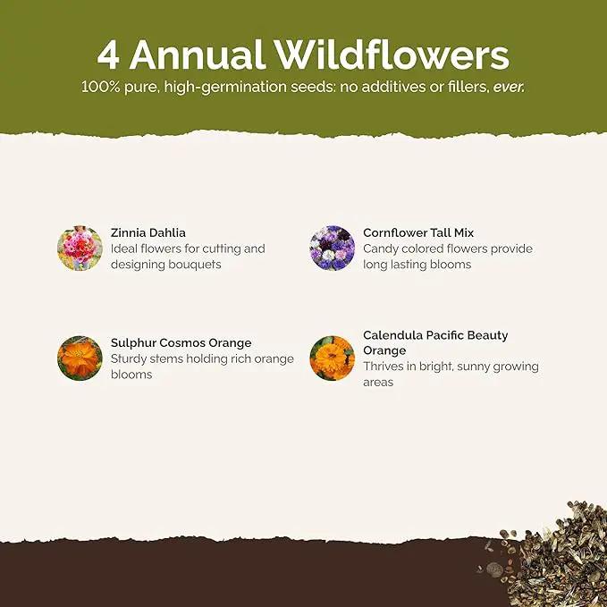 Eden Brothers Jellybean Flower Mixed Seeds for Planting, 1 lb, 480,000+ Seeds with Zinnia, Cornflower, Cosmos, Calendula | Attracts Pollinators, Plant in Spring or Fall, Zones 3, 4, 5, 6, 7, 8, 9, 10, photo 3 of 6