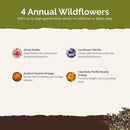Eden Brothers Jellybean Flower Mixed Seeds for Planting, 1 lb, 480,000+ Seeds with Zinnia, Cornflower, Cosmos, Calendula | Attracts Pollinators, Plant in Spring or Fall, Zones 3, 4, 5, 6, 7, 8, 9, 10 by GreenHaven Gardens