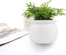 African Violet Pots, 6 inch Ceramic Easy Self Watering Plant Pot for Busy Plant Lovers, Automatically Absorb Appropriate Amount of Water, Flower Pot Indoor-Plants Not Included by GreenHaven Gardens