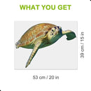 Turtle Wall Stickers Gifts Christmas - Sea Turtle Wall Decals Peel and Stick - Turtle Wall Stickers Removable - Sea Turtle Animals Wall Decor for Kids Baby Bedroom Bathroom Living Room by CozyNest Decor