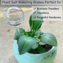 Clear Rainbow Glass Plant Automatic Watering Bulb, 4pcs Garden Flower Self Watering Planter Inserts, Automatic Plant Waterer System Set Self Watering Spikes to Support Plant Health by GreenHaven Gardens