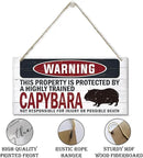 Warning Sign, Capybara Warning Wood Plaque Sign, Funny Door Signs, Decorative Wood Hanging Suspension Plaque, Farmhouse Wooden Wall Decor, Outdoor Hanging Wooden Signs by CozyNest Decor