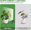 T10 Vertical Grow Light, 6000K Full Spectrum Desktop Plant Light 18.9",Hung or Stood, with 3 Modes & 5 Dimming Levels, Suitable Small & Medium Plants Indoors, Auto On Off Timing 4/8/12/18Hrs (1) by GreenHaven Gardens