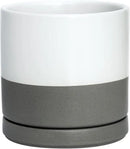 D'vine Dev 6 Inch Ceramic Planter Pot with Drainage Hole and Saucer, Indoor Cylinder Round Flower Pot, White/Speckled Grey, 94-O-C-6 by GreenHaven Gardens