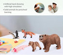Volnau Safari Animal Figurines Toys 12PCS North America Figures Zoo Pack for Toddlers Kids Christmas Decoration Gift Preschool Educational Bald Eagle Bear Salmon Salamander Jungle Forest Cake Topper by GreenHaven Gardens