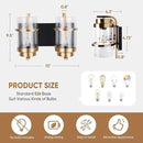 Bathroom Vanity Light Fixtures, Black Gold Vanity Lights for Bathroom 2 Lights,Gold Brushed Wall Sconce(Bulbs not Included) by CozyNest Decor