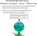 10pcs Plant Self Watering Globe Stakes, Plant Watering Stakes Automatic Plant Watering Bulb System Spikes, Flower Automatic Watering Device, Garden Self Waterer for Indoor Outdoor Plant by GreenHaven Gardens