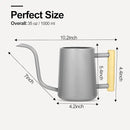 Watering Can Indoor Plants, 35 oz/1000 ml Metal Stainless Steel Watering Can Pot with Long Spout for Indoor House Plants Bonsai Outdoor Garden Flower Decorative (Gray) by GreenHaven Gardens
