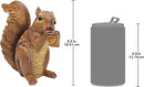 Design Toscano Woodland Squirrel Statue: Chomper by CozyNest Decor