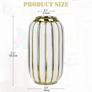 Briful Gold Plated Lantern Ceramic Vase Home Decor Creative Design Porcelain Decorative Flower Vase 8.66'' White Ceramic Vases for Wedding Anniversary Decoration by GreenHaven Gardens