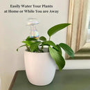 Evelots Plant Self Watering Glass Globes, Iridescent Mushroom Shaped Bulbs (4 Pack) Automatic Water Irrigation System for Plants with Funnel, Indoor & Outdoor Use -Extra Long 9 Inches