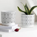 2 Pack Ceramic Plant Saucer Pot Tray 6 Inch, Planter Saucers 4 5 6 7 8 9 10 11 12 13 Inch for Indoors Outdoor, Durable Sturdy Flower Drainage drip Water Tray for Glazed Pots Base (6.4 Inch-White) by GreenHaven Gardens
