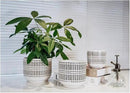 Docrin Plant Pots Ceramic: 6.5+5.3+4 Inch Flower Pots with Drainage Holes for Home/Office - Set of 3/White and Black by GreenHaven Gardens