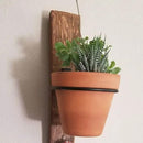 6 Pack 4in Flower Pot Holder Ring Wall Mounted Metal Planter Hooks Hangers Wall Bracket by GreenHaven Gardens