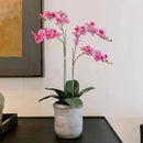 Faux Pink Orchid Plant, Premium Artificial Indoor Flower Display Stands 24”, Beautiful Sculptural Blooms That Lasts Forever, Grey Planter Pot Included by CozyNest Decor