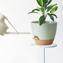 Indoor Pot For Plants 3 Pack 12/10/9 Inch Self Watering Pot For Lazy People,Self Watering Pots For Indoor Plants,Outdoor Pots For Succulent, African violets And Cactus Green Plastic Flower Pots by GreenHaven Gardens