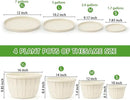 Quarut 14 Inch Plastic-Flower-Pot-for-Indoor-Plants, 4 Pack Large Outdoor Planter Pot with Drainage Holes & Saucers, Resin Decorative Garden Pots Planters（White） by CozyNest Decor