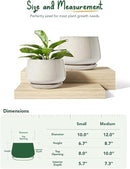 LE TAUCI Ceramic Plant Pots, Set of 2, 10 + 12 Inch Plant Pot, Elegant Planters for Indoor Plants, Sturdy Planter with Drainage Hole and Saucers, Perfect for Home Decor, Reactive Glaze Beige by GreenHaven Gardens