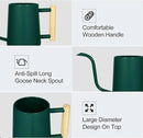 Watering Can Indoor Plants, 35 oz/1000 ml Metal Stainless Steel Watering Can Pot with Long Spout for Indoor House Plants Bonsai Outdoor Garden Flower Decorative (Alpinegreen) by GreenHaven Gardens