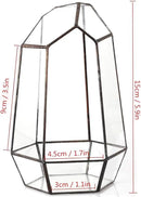 NCYP Small Geometric Terrarium - 4.1" x 3.5" x 5.9" Miniature Irregular Glass Terrarium Planter for Succulent Air Plants - Tabletop Garden Display Container, Black (No Plants, No Door) by CozyNest Decor