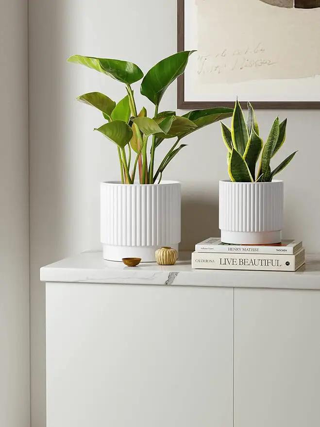 LE TAUCI Ceramic Pots for Plants, 8+6.7+5.5 Inch Plant Pots Indoor, Flower Pot with Drainage Holes, Medium Cylinder Planters for Indoor House Plants, Set of 3, White, photo 2 of 7