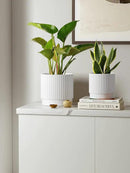 LE TAUCI Ceramic Plant Pots with Drainage Holes, Set of 3, 8+6.7+5.5 Inch Stripe Garden Planter Pots for Outdoor Indoor Plants Flower, Round Succulent Orchid Flower Pot, Small to Large Size, White by GreenHaven Gardens