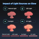 FLASHFORGE Rapid PLA Filament 1.75mm Luminous Red, 500mm/s High Speed Printing, Glow in The Dark 3D Printer Filament 1kg Spool, Dimensional Accuracy +/- 0.02mm, Brilliant, Long-Lasting Glow by TinyTreasures Baby Boutique