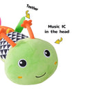 Baby Sensory Toys 0-12 Months, Plush Toys with Music and Rattle, Suitable for Newborn Baby Tummy time, can be Used as a Newborn Birthday, Holiday, Baptism Gift (Green Caterpillar) by TinyTreasures Baby Boutique