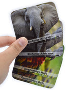 Menique Wild Animals Memory Matching Game – Spanish Edition – 80 Cards (40 Pairs) with Real Photos – Educational Game in Spanish for Kids and Adults – Includes Booklet by TinyTreasures Baby Boutique
