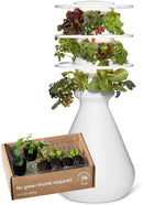 Farmstand Starter Kit with Glow Rings and 18 Seedling Credits | Small Hydroponic Growing System Kit | Vertical Garden Planter Tower | 4ft 3in Tall by GreenHaven Gardens