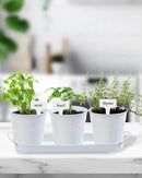vensovo Indoor Herb Planter Set - Galvanized Windowsill Garden Pots with Tray & Drainage, Set of 3 Metal Window Planters for Kitchen & Outdoor Use, White by GreenHaven Gardens