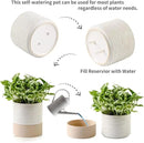 Nihow Self Watering Plant Pot: 6 Inch Ceramic Planter with Drainage Hole & Water Storage Plus for Indoor & Outdoor Plants - Cylinder Round Flower Pot for Succulent/Herbs/Violets - Cream White & Brown by CozyNest Decor