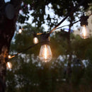 SUNTHIN Outdoor String Lights, 144ft(3 Pack 48ft) Patio Lights with LED Shatterproof Bulbs, Hanging for Outside, Garden, Backyard, Deck, Porch, Bistro, Pool, Party by GreenHaven Gardens