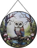 Hanging Stained Glass for Windows,20cm/7.87inch Owl Suncatcher Stained Glass Garden Hangings Ornaments Mother's Day Valentine's Day Halloween Fall Christmas Decor for Home (A Style) by GreenHaven Gardens