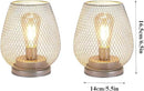 JHY DESIGN Set of 2 Metal Cage LED Lantern Battery Powered Cordless Accent Light with LED Great for Weddings Parties Patio Events for Indoors Outdoors(Silver) by GreenHaven Gardens