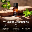 Gya Labs Melissa Essential Oil - 0.34 Fl Oz - 100% Pure Natural Melissa Oil for Candle Making Scent by CozyNest Decor