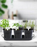 vensovo Indoor Herb Planter Set - Galvanized Windowsill Garden Pots with Tray & Drainage, Set of 3 Metal Window Planters for Kitchen & Outdoor Use, Black by GreenHaven Gardens