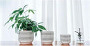 Docrin Plant Pots Ceramic: 6.5+5.3+4 Inch Flower Pots with Drainage Holes for Home/Office - Set of 3/White and Black by GreenHaven Gardens