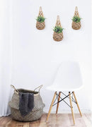 3PK Wall Planters for Indoor Plants, Macrame Plant Hanger | Wall Planter, Plant Hanger, Hanging Planter (3PK, for 4 inch Pot) by CozyNest Decor