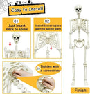 DINESIL 5.4ft/165cm Halloween Skeleton, Halloween Life Size Skeleton with Spider Pumpkin Bag, Full Body Human Bones with Movable Joints for Halloween Indoor Outdoor Haunted House Decorations by GreenHaven Gardens