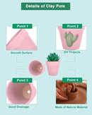 vensovo 48 Pcs 2" Tiny Terracotta & Terra Cotta Pots with Drainage - Peach Pink Small Mini Clay Ceramic Pottery Planter Ideal for Indoor/Outdoor Plants, Crafts, Wedding Favors by GreenHaven Gardens