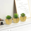 Hollyone Small Succulents Artificial 3 Pcs Faux Succulents with Gold Pots Mini Fake Succulent Plants Indoor Plant Ceramic Pots for Modern Office Desk Bathroom Shelf Living Room Home Decor by GreenHaven Gardens